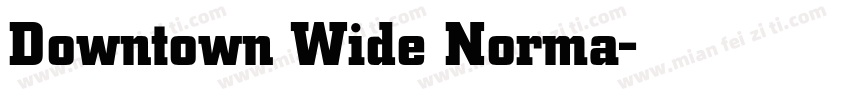 Downtown Wide Norma字体转换